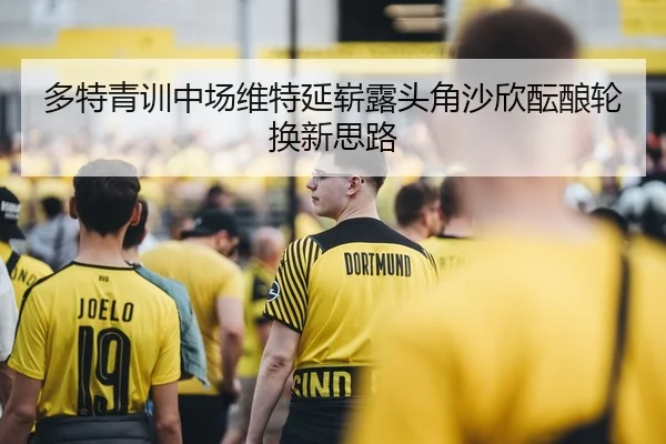 多特青训中场维特延崭露头角沙欣酝酿轮换新思路